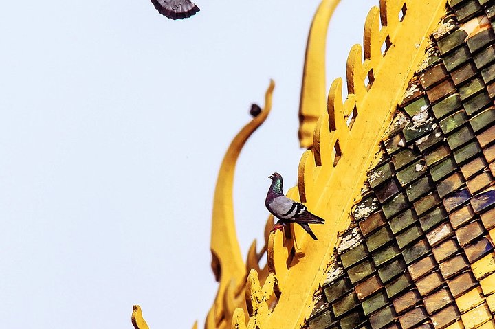 Phnom Penh Vital Discovery-Full Day Tour (Incluindo todos os serviços)