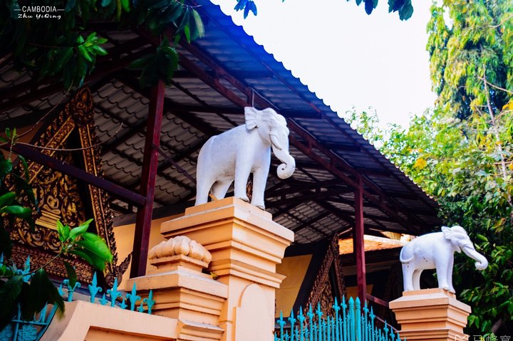 Phnom Penh Vital Discovery-Full Day Tour (Incluindo todos os serviços)