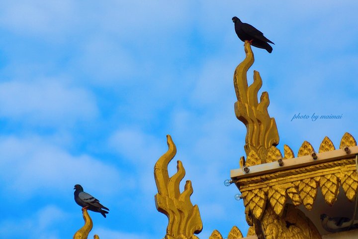 Phnom Penh Vital Discovery-Full Day Tour (Incluindo todos os serviços)