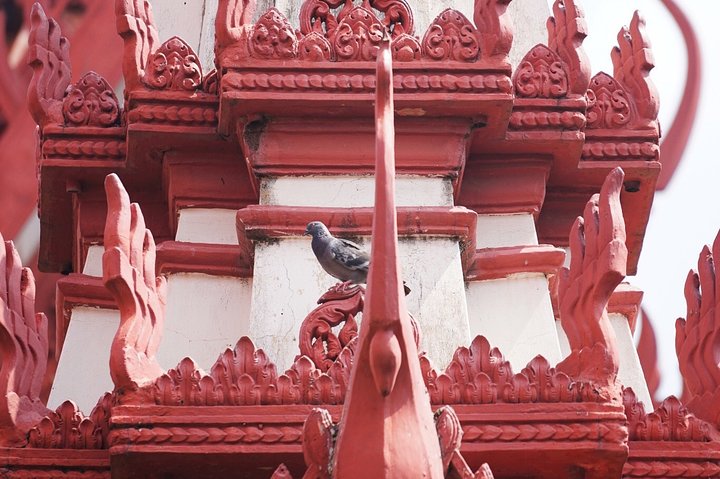 Phnom Penh Vital Discovery-Full Day Tour (Incluindo todos os serviços)