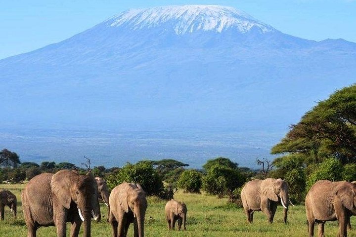 Tour di 2 giorni 1 notte al Parco Nazionale Amboseli.