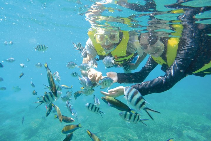 Överför från Kota Bahru flygplats till Kuala Besut