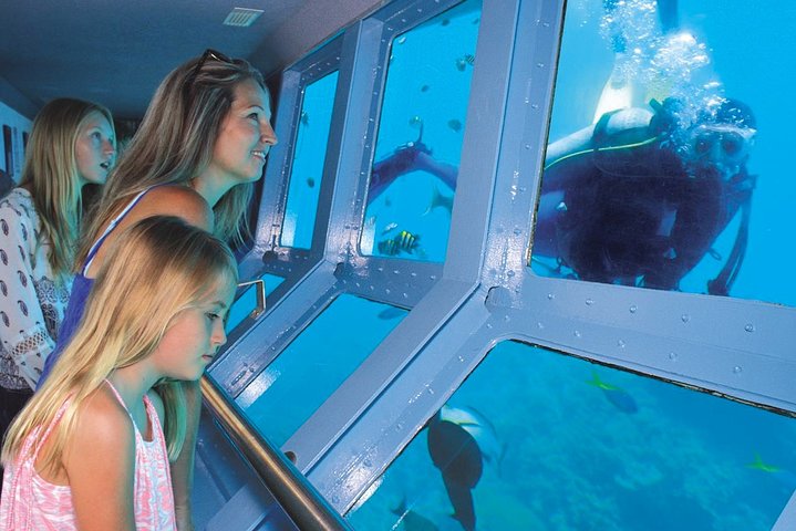 Quicksilver Great Barrier Reef Snorkel Cruise fra Port Douglas