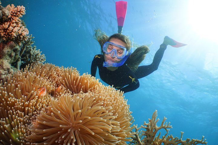 Quicksilver Great Barrier Reef Snorkel Cruise fra Port Douglas