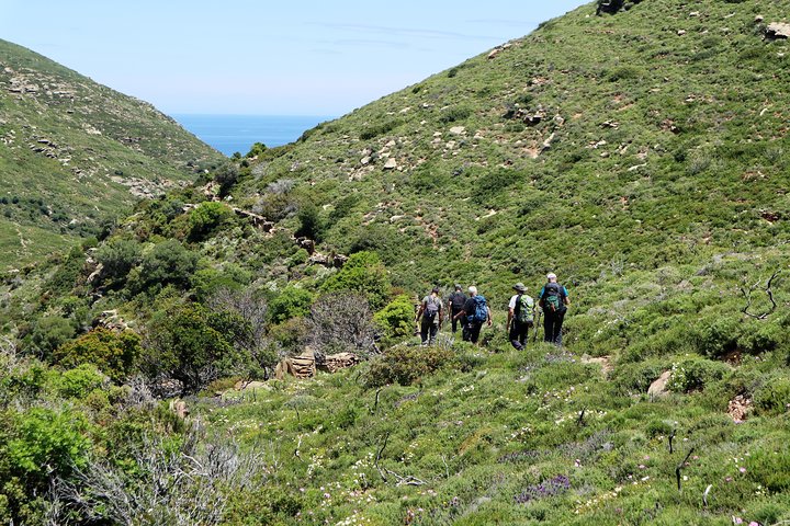 Geführte Wanderung in kleiner Gruppe in Andros mit Picknick am Strand