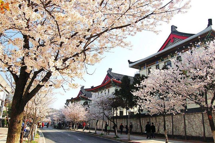 2 - Journée Nanjing privé flexible visite personnalisée avec option déjeuner
