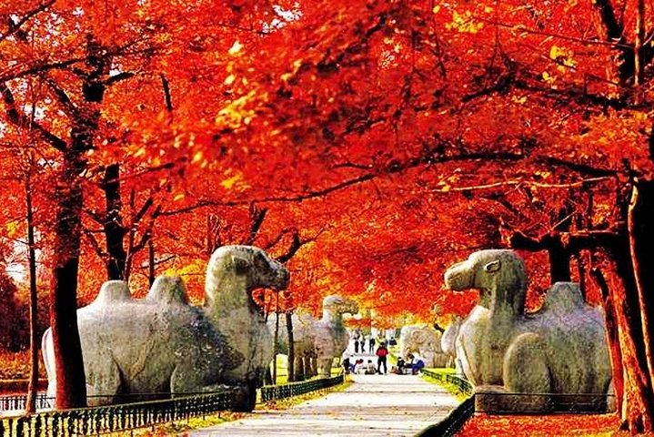 Tour de um dia privativo com tudo incluso pela cidade de Nanjing com destaques feitos sob medida
