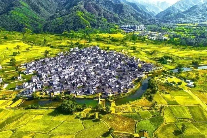 Tour privato di mezza giornata del villaggio antico di Hongcun da Huangshan