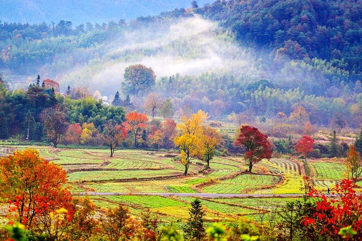 Excursão privada de 2 dias a Huangshan: Yellow Mountain e Xidi Ancient Village