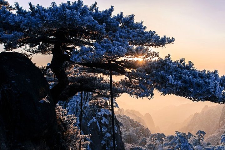 Excursão privada de 2 dias a Huangshan: Yellow Mountain e Xidi Ancient Village