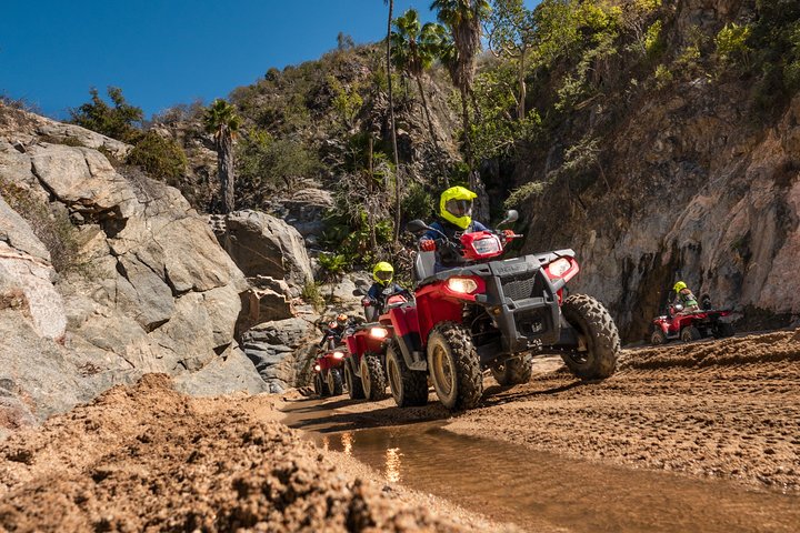 Excursion en VTT Cabo 4x4 avec dégustation de tequila et déjeuner buffet mexicain