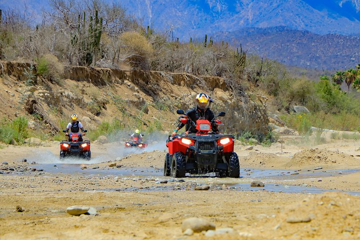 Excursion en VTT Cabo 4x4 avec dégustation de tequila et déjeuner buffet mexicain