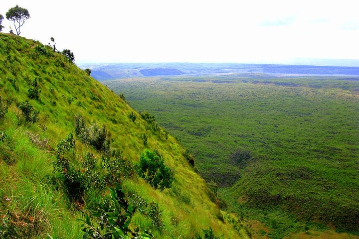 8 dage, 7 nætter Safari – Lake Nakuru, Maasai Mara, Naivasha og Amboseli Park