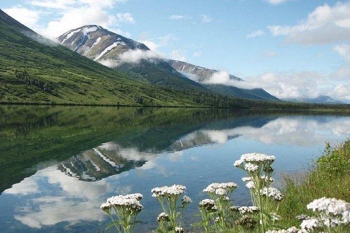 Seward para Anchorage Cruise Transfer e Private Tour
