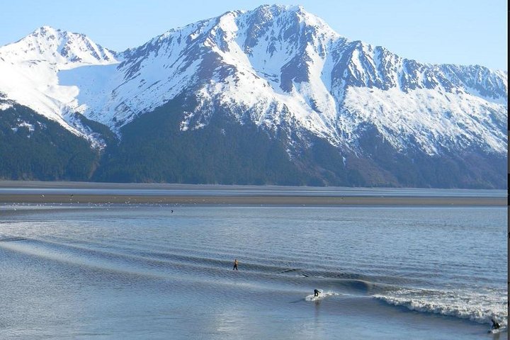 Seward para Anchorage Cruise Transfer e Private Tour