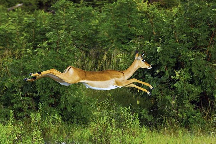 Azobe East Adventure Safari 13D/12N