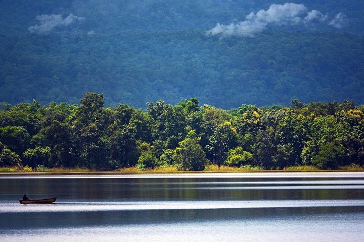 Nagpur naar Pench & Satpura National Park, Tiger Safari Tour