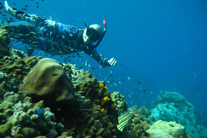 Viaje de Freedive de Koh Chang (inicio en Koh Chang)