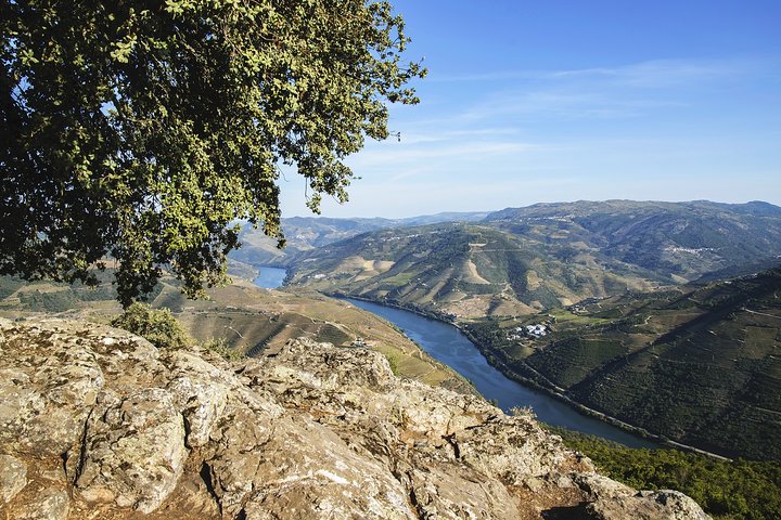 Volledige dag Douro-tour met wijnproeverij en lunch