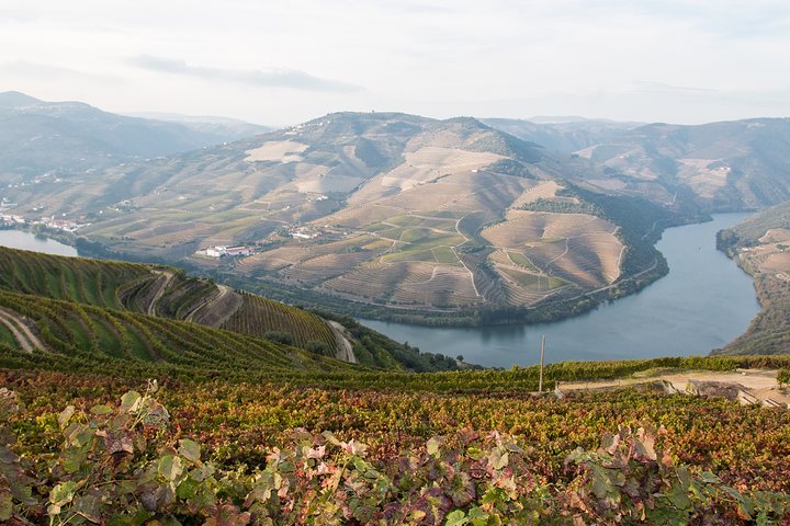 Volledige dag Douro-tour met wijnproeverij en lunch
