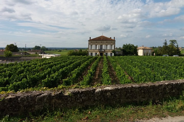 Visite du vin de Saint Emilion Dégustation Demi-journée au départ de Bordeaux