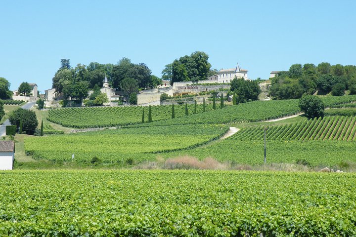 Visite du vin de Saint Emilion Dégustation Demi-journée au départ de Bordeaux