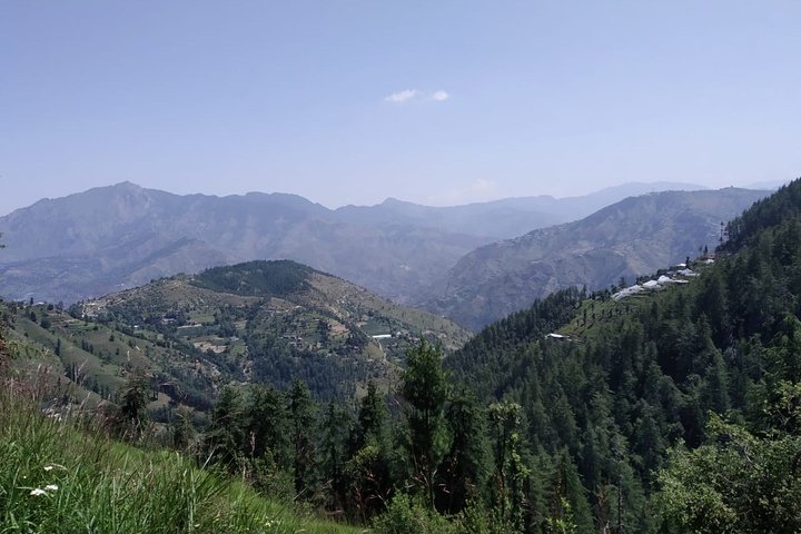 Gita in bici privata di un'intera giornata sulla montagna di Shimla con pranzo