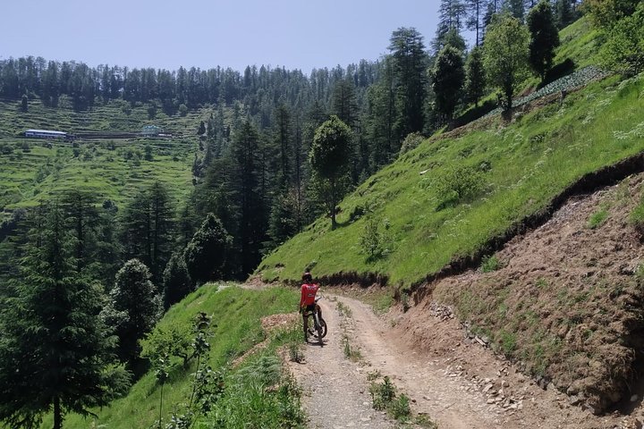 Gita in bici privata di un'intera giornata sulla montagna di Shimla con pranzo