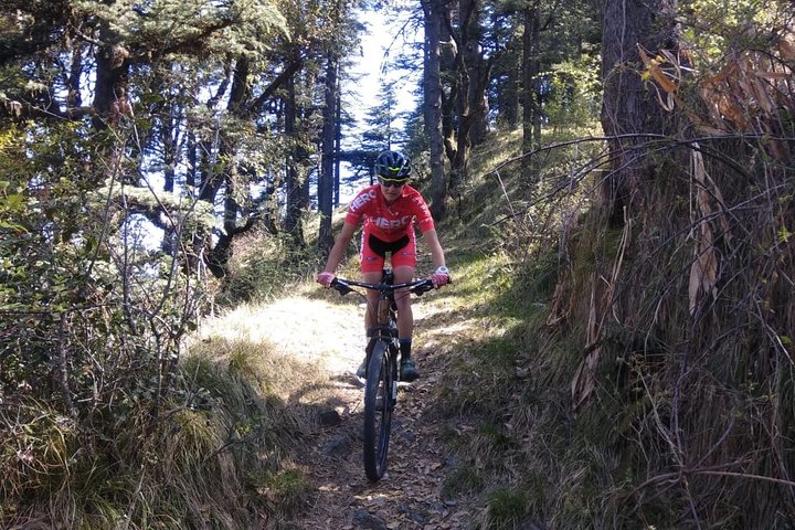 Gita in bici privata di un'intera giornata sulla montagna di Shimla con pranzo