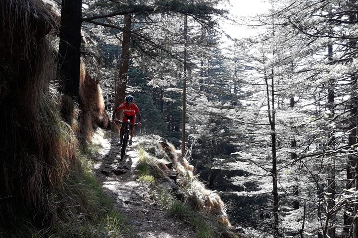 Gita in bici privata di un'intera giornata sulla montagna di Shimla con pranzo