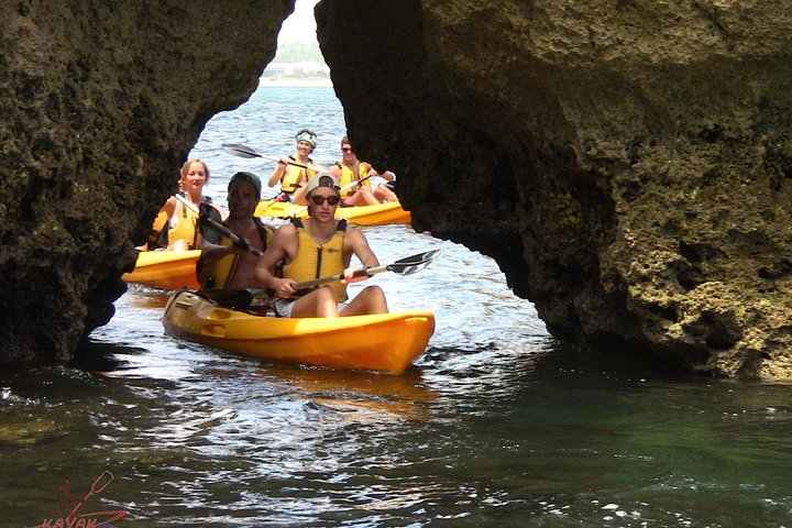 Ponta da Piedade Caves Kajaktocht in Lagos + Snorkelen
