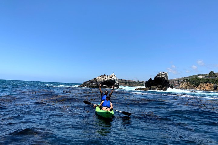 Laguna Beach Open Ocean Kayaking Tour met waarnemingen van zeeleeuwen