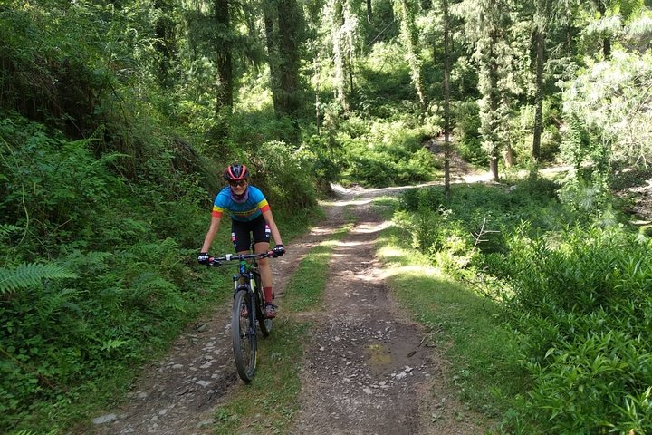 9-Day Himalaya Mountain Bike Tour from Shimla to Daramshala