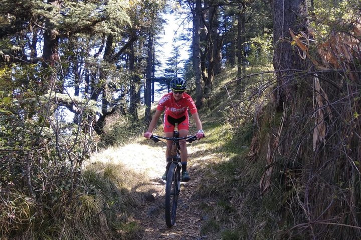 9-Day Himalaya Mountain Bike Tour from Shimla to Daramshala