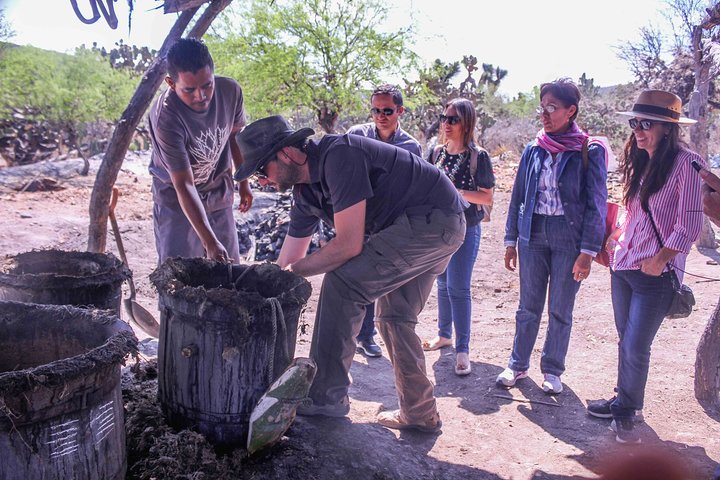 Voorouderlijke dranken : Mezcal en Pulque uit het hart van de woestijn
