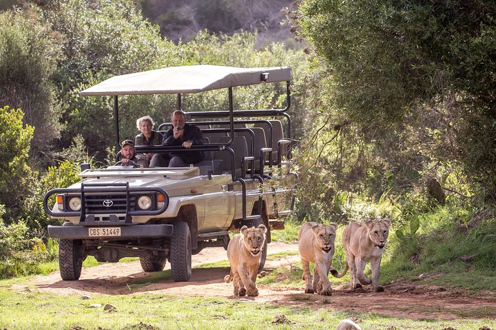 Safari de vida salvaje en la ruta del jardín - 4 días