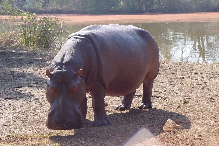 Safari de vida salvaje en la ruta del jardín - 4 días