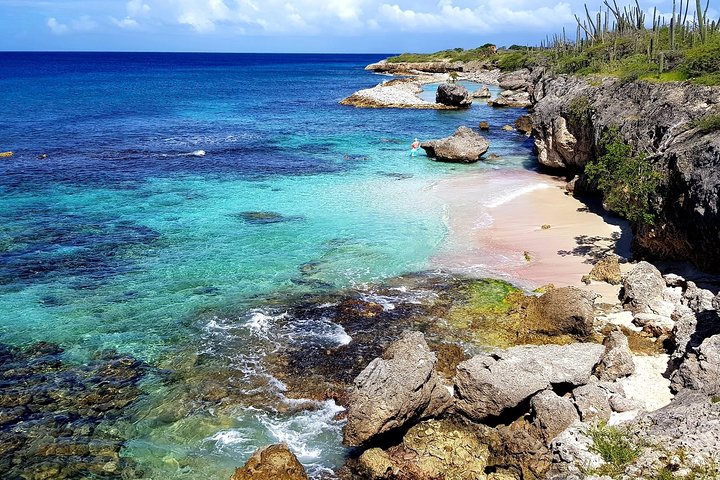 Tour del Parco Nazionale di Washington Slagbaai a Bonaire