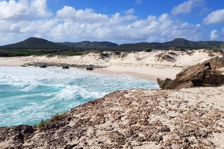 Tour del Parco Nazionale di Washington Slagbaai a Bonaire