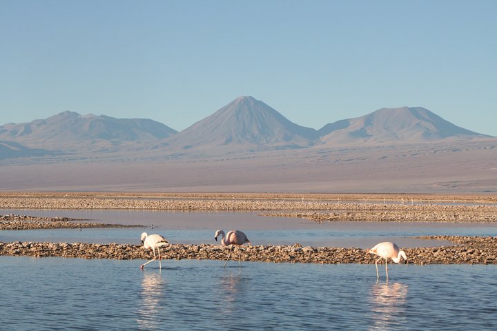 4 - Day Atacama Desert Experience med hotell, rundturer och måltider