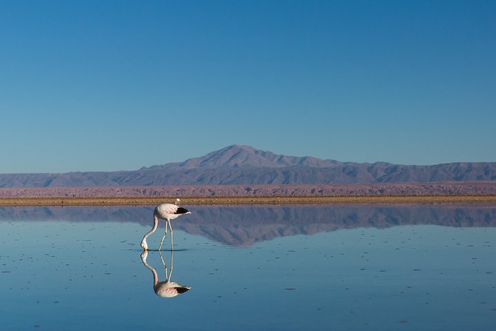 4 - Day Atacama Desert Experience med hotell, rundturer och måltider