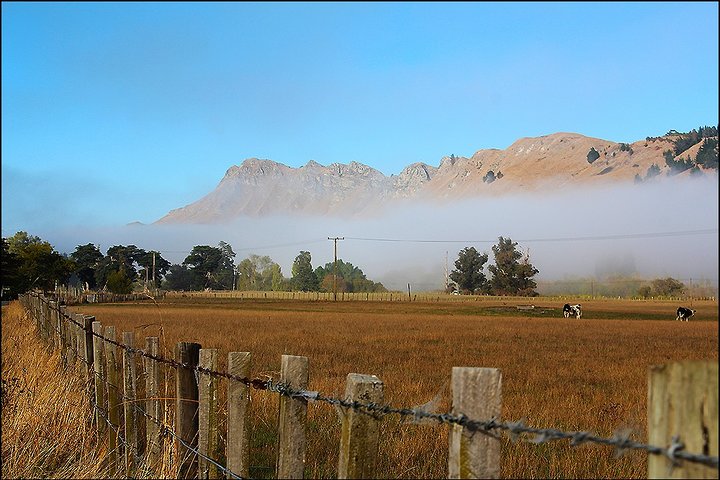 Escursione a terra: tour di 4 ore alla scoperta di Hawkes Bay e Napier