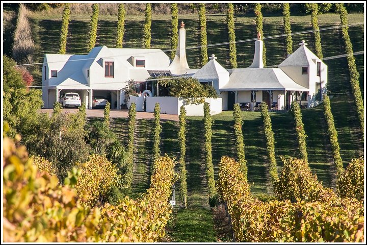 Escursione a terra: tour di 4 ore alla scoperta di Hawkes Bay e Napier