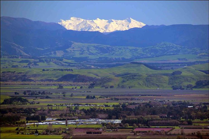 Escursione a terra: tour di 4 ore alla scoperta di Hawkes Bay e Napier