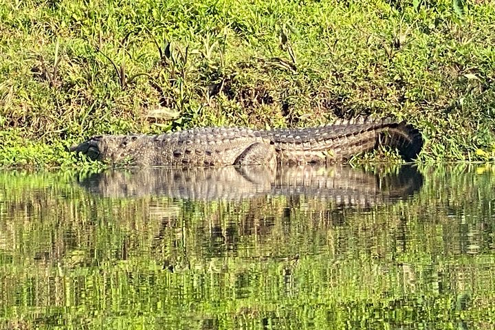 3 Nachten 4 Dagen Comfortabele Chitwan Safari Tour