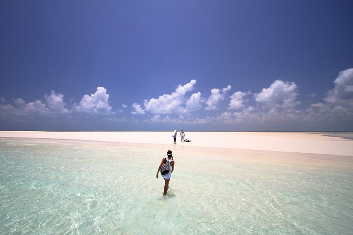 Piquenique de dia inteiro em Sandbank na Ilha de Pemba