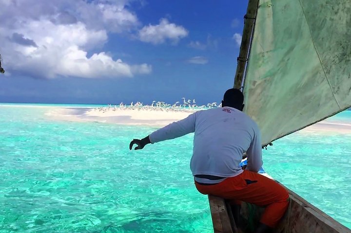 Piquenique de dia inteiro em Sandbank na Ilha de Pemba