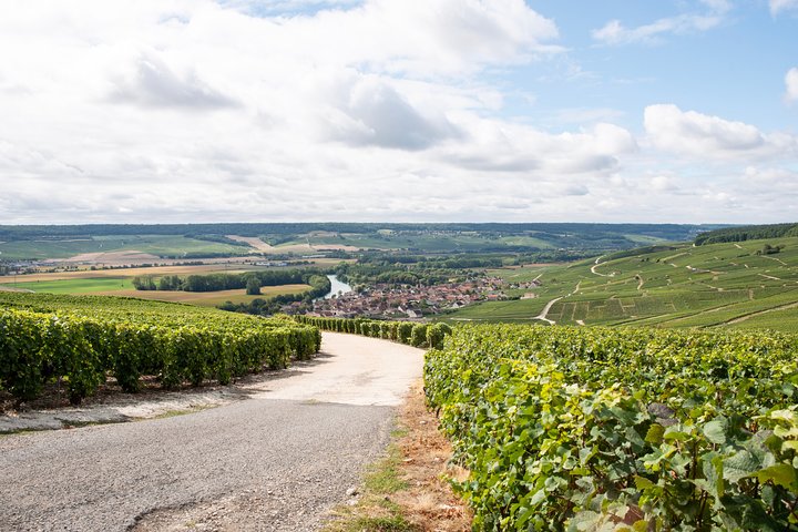 Da Reims pomeriggio tour in e-bike, visita e degustazioni di champagne