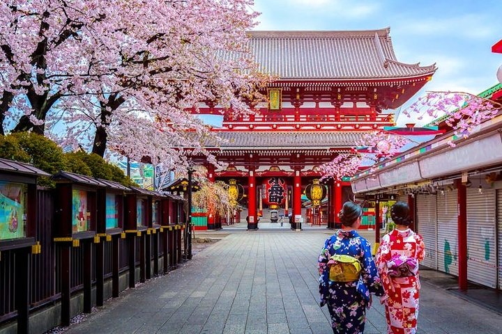 Luchthaven transfer: Narita Airport NRT naar Tokyo City per luxe busje