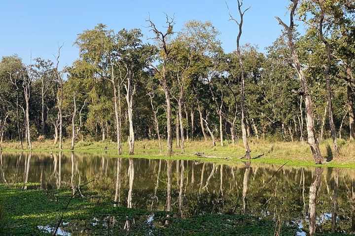 3 Nachten 4 Dagen Comfortabele Chitwan Safari Tour
